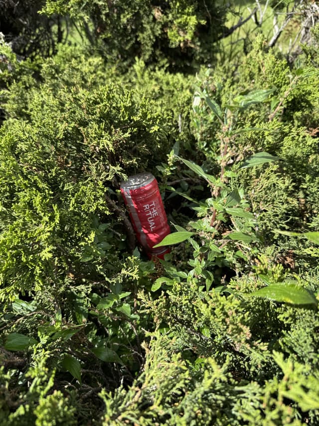 a red plastic bottle in a bush