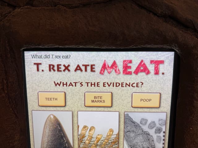 view of an information panel that says "T. REX ATE MEAT" with the word "MEAT" stylized like meat