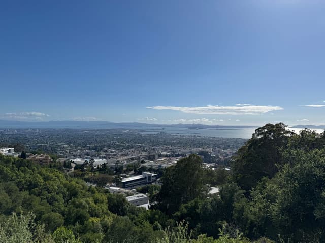 view over Berkeley from Grizzly Peak