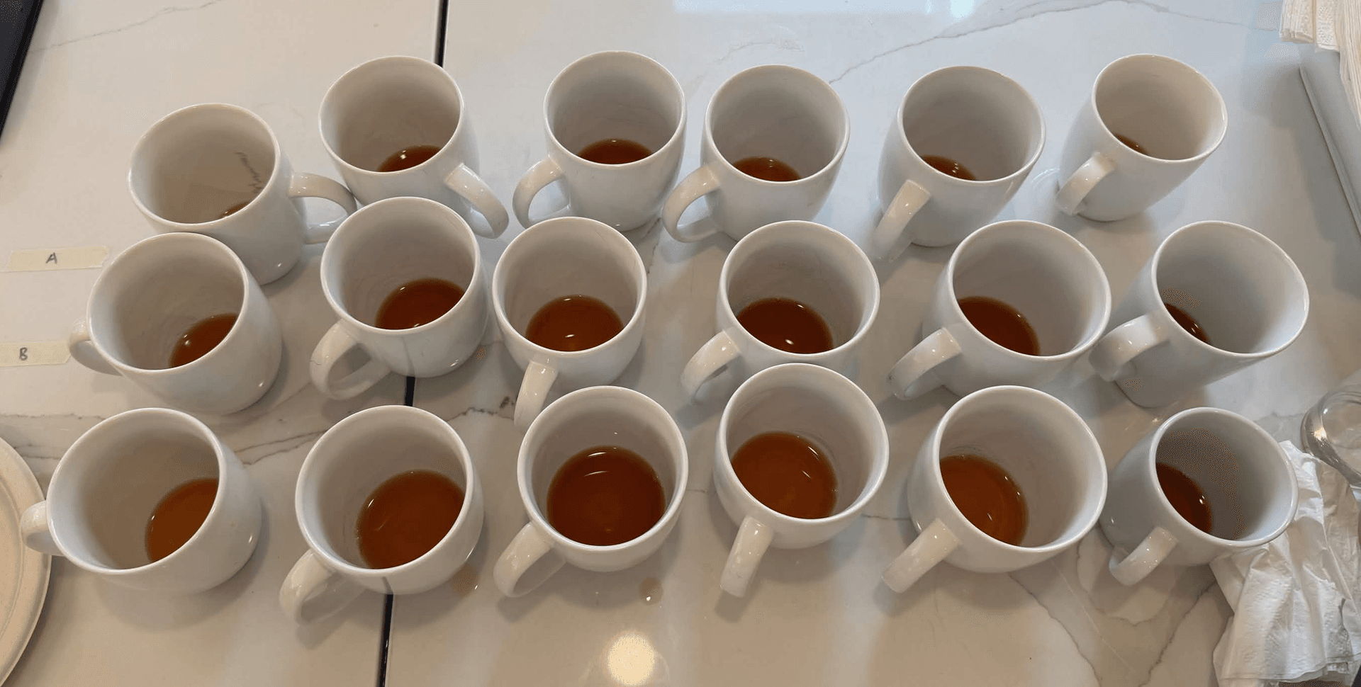 A large array of mugs, each containing small amounts of tea.